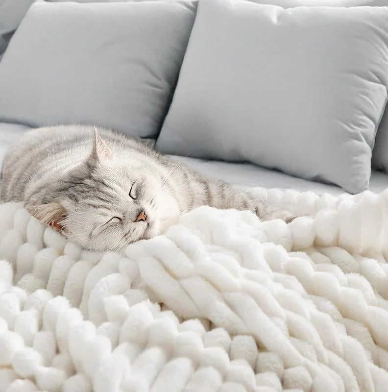 ⛄2026 Hot Sale 🔥Popular Thickened Plush Nap Blanket - Image 4