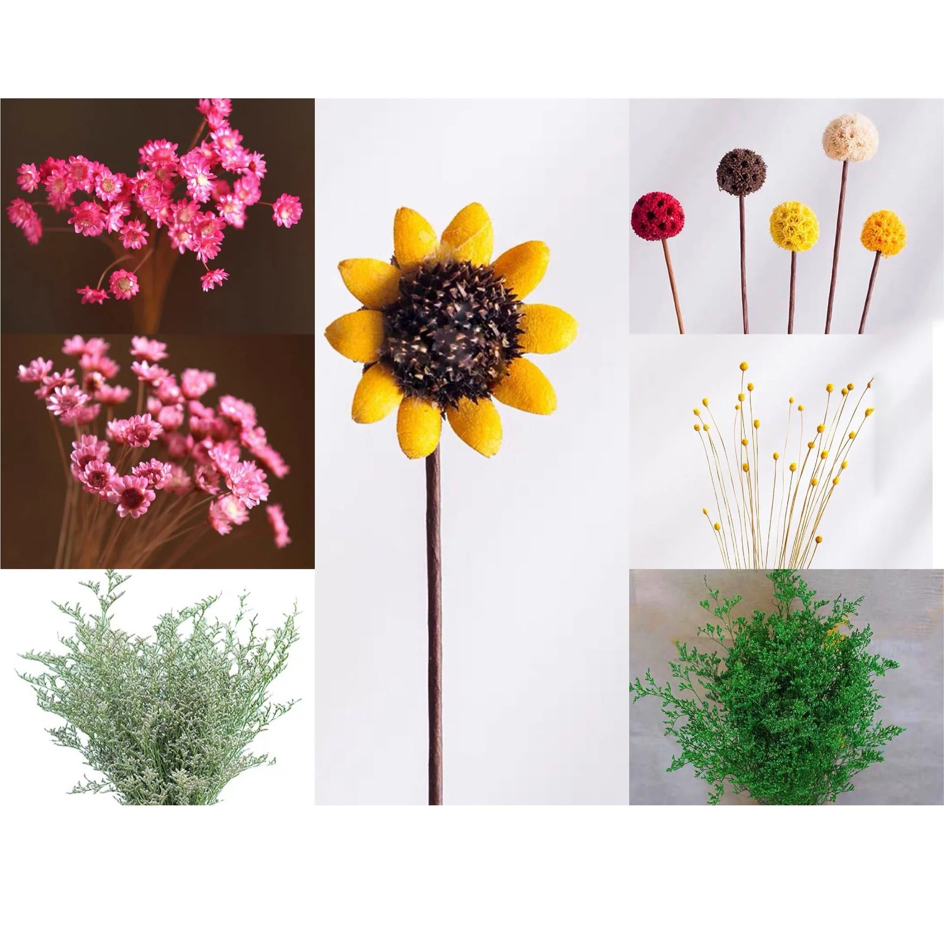 🎁Create Your Own Mini Garden🌸Mini Ceramics Vase Fridge Magnet - Image 13