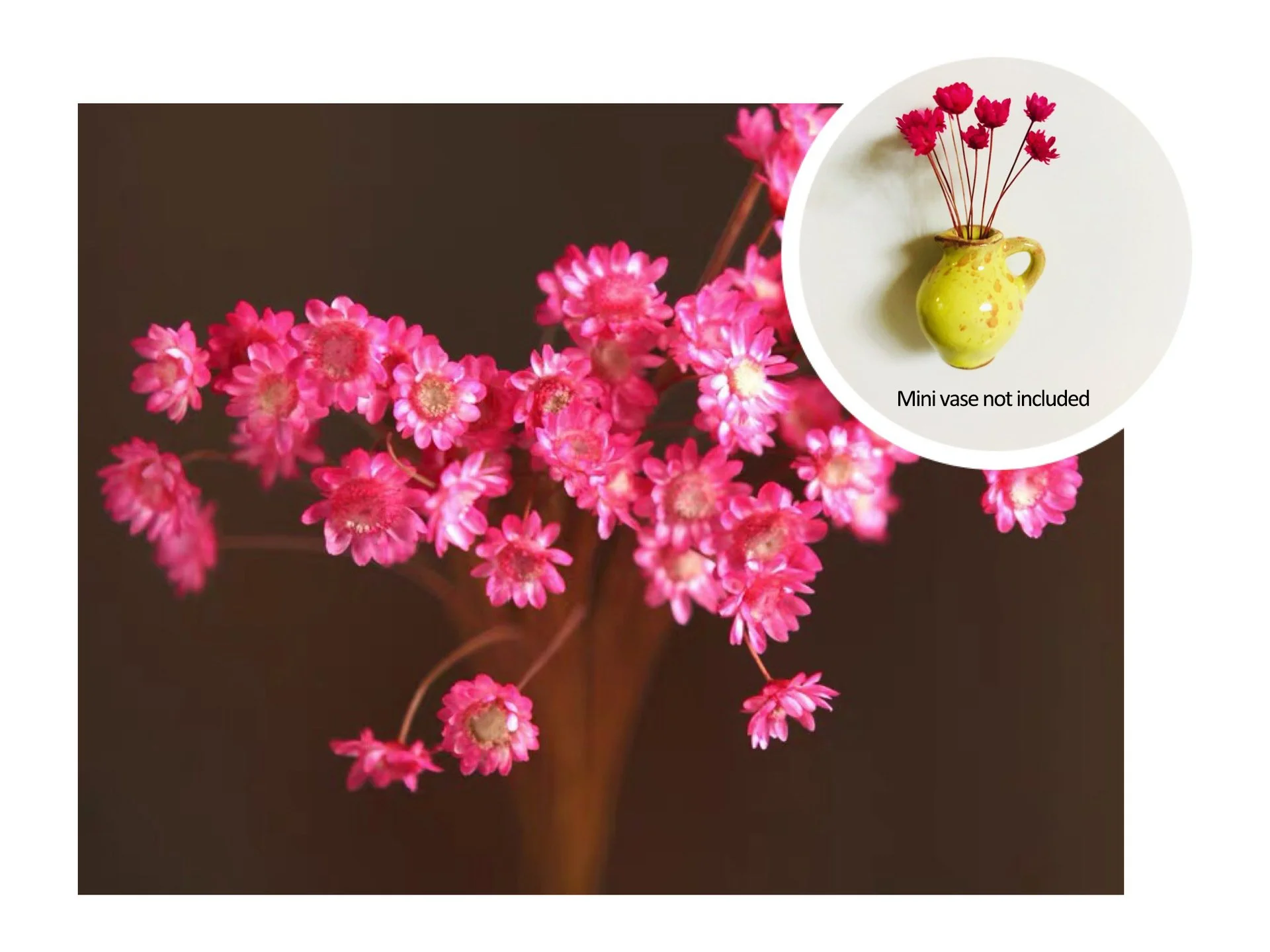 🎁Create Your Own Mini Garden🌸Mini Ceramics Vase Fridge Magnet - Image 14