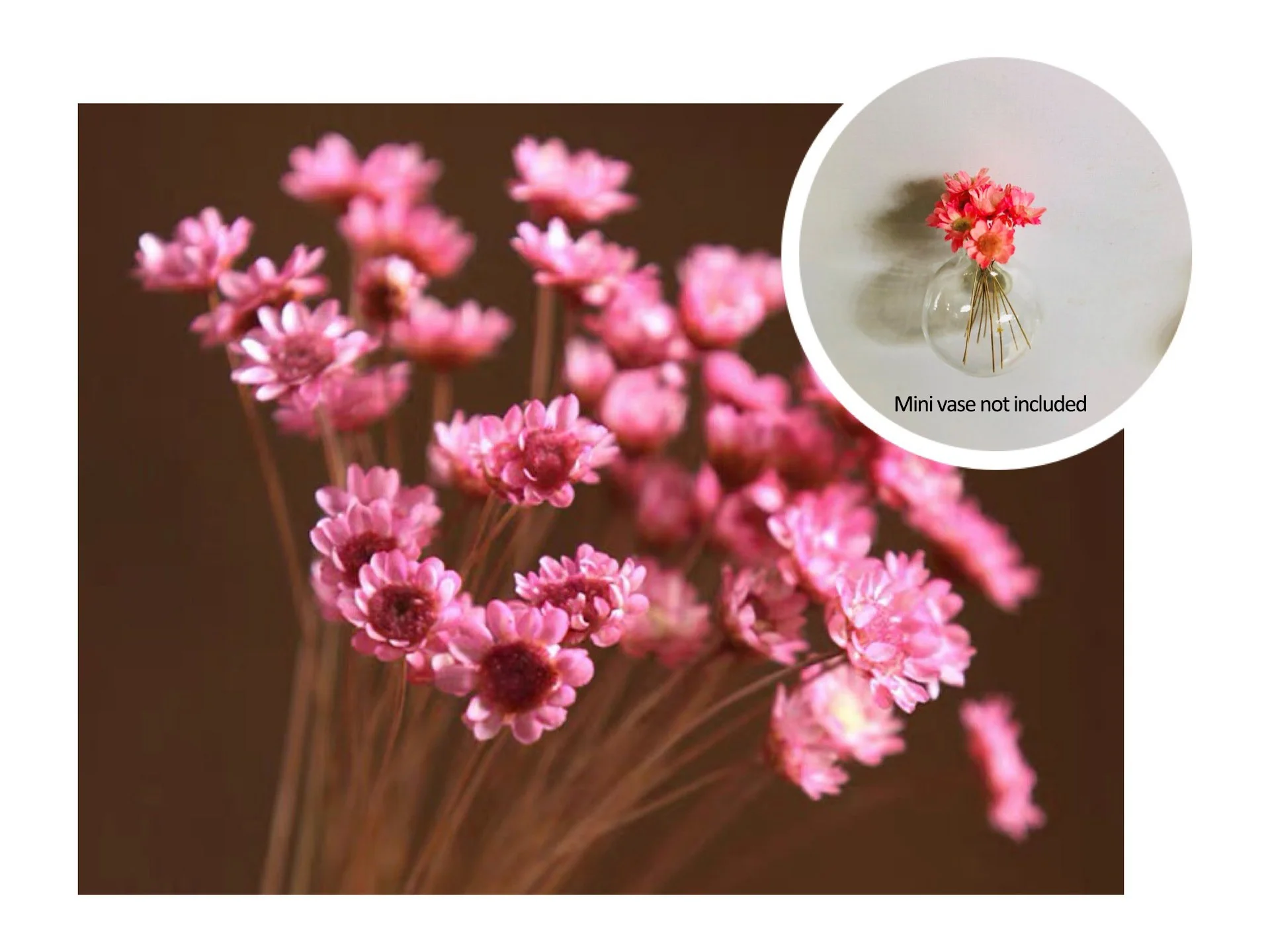 🎁Create Your Own Mini Garden🌸Mini Ceramics Vase Fridge Magnet - Image 15