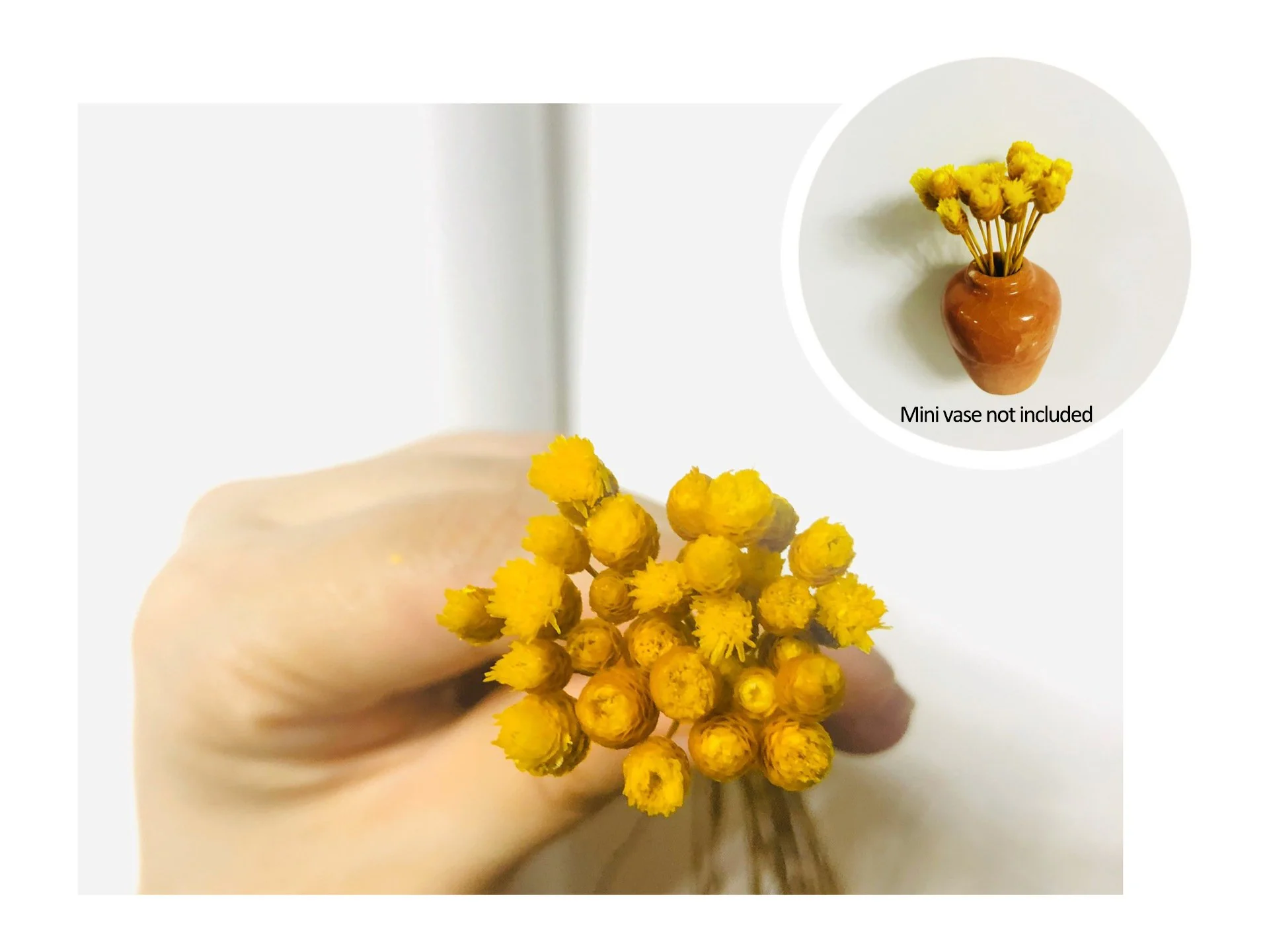 🎁Create Your Own Mini Garden🌸Mini Ceramics Vase Fridge Magnet - Image 16