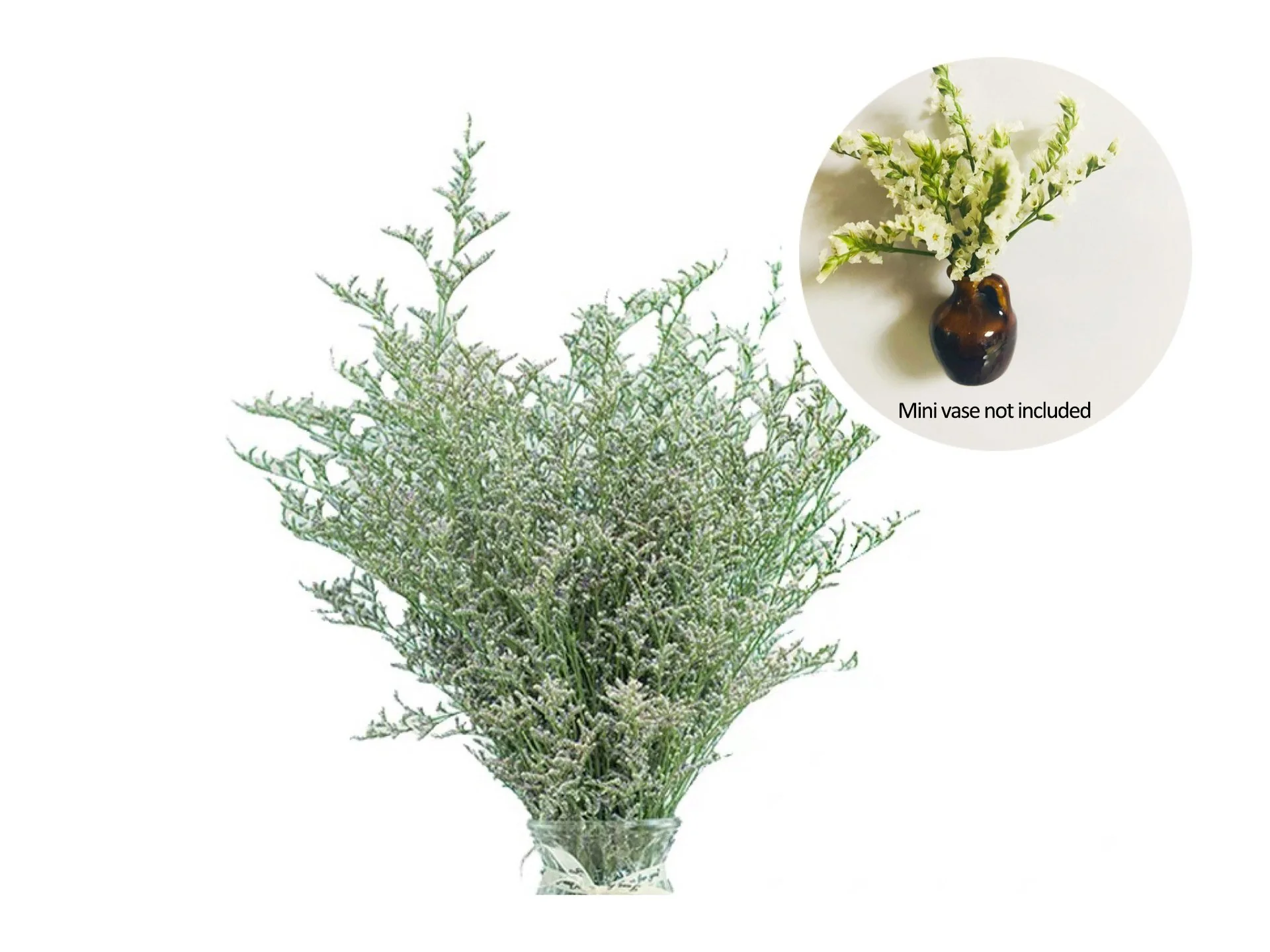 🎁Create Your Own Mini Garden🌸Mini Ceramics Vase Fridge Magnet - Image 18